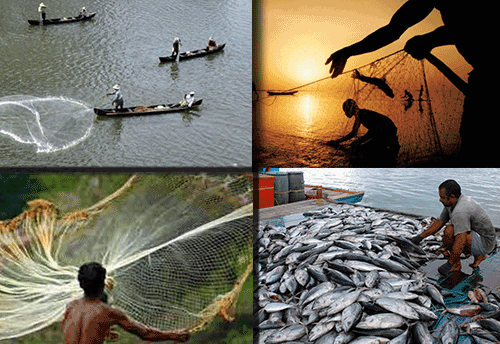 MSME-DI suggests marine entrepreneurial cluster in Mandapam area