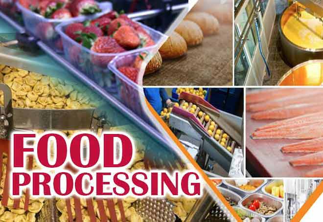 Food Processing Sector records 7.27% CAGR in 2020-21