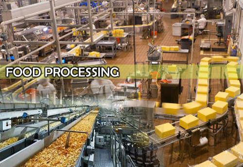 Odisha govt announces extending subsidy to self financed food processing enterprises