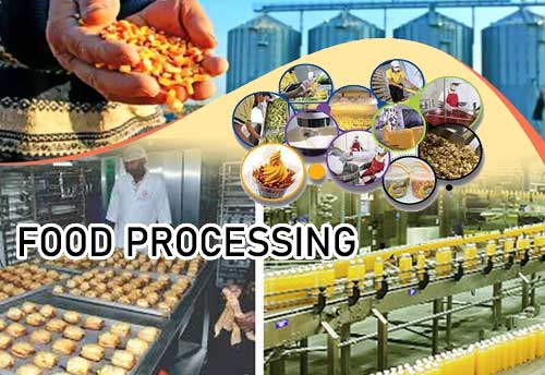 Govt pushes for formalization of Micro Food Processing units through PMFME scheme