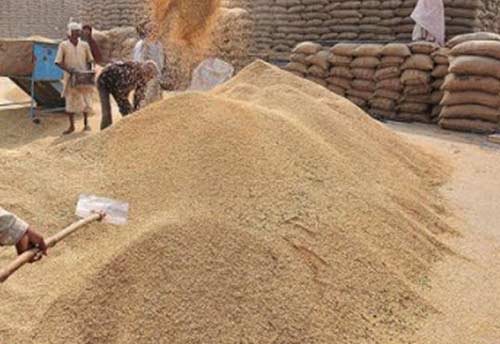 Govt approves allocation of additional food grain under PMGKY