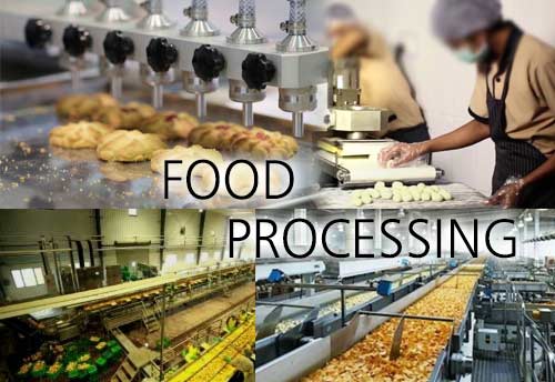 Govt allocates Rs. 10,000 crore to upgrade 2 lakh micro food processing units