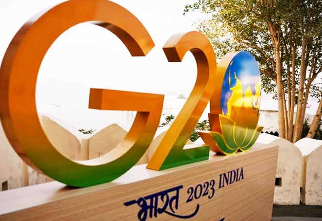 Integration of MSMEs in global trade on top of agenda in G20 Trade & Investment Group
