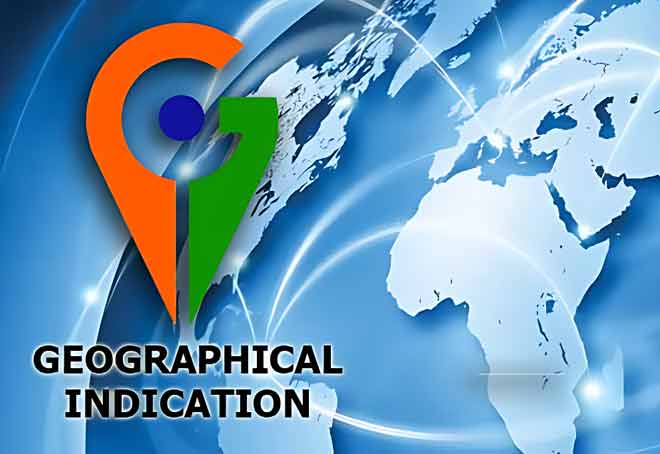 GI tag registrations reach 432; Karnataka, Tamil Nadu hold maximum number