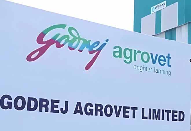 Godrej Agrovet to set up edible oil refining plant in Andhra Pradesh