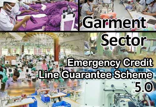 Tiruppur exporters demand ECLGS 5.0 for garment sector