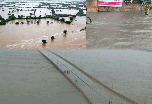 Ahmedabad Cotton Industry hit hard as heavy floods continue in the state