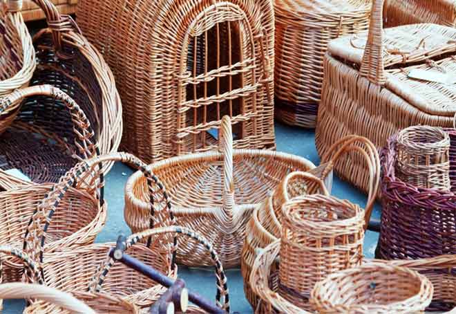 West Bengal To Set Up Centre To Convert Water Hyacinth Into Handicrafts