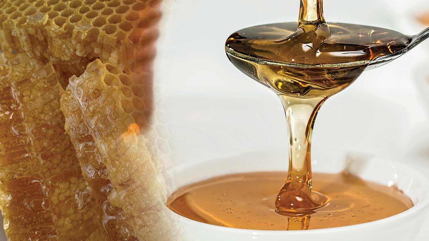 India Reduces Minimum Export Price For Natural Honey