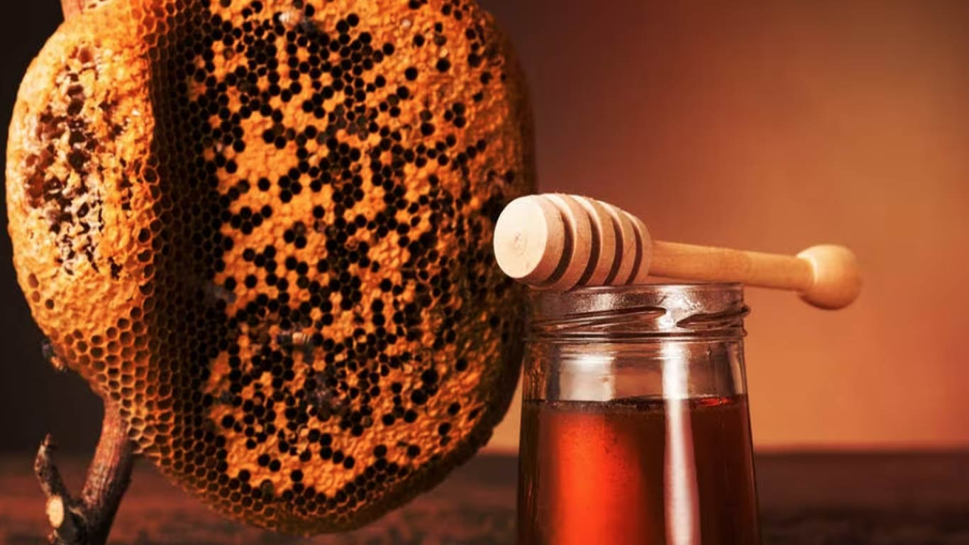 Honey Village Being Set-up In Patgaon, Maharashtra
