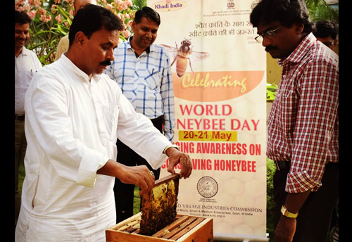 KVIC distributes 1,000 bee-boxes to Assam tribals to spread sweet revolution mission of Prime Minister