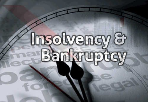 IBC review panel for changed in law to make rules easier for MSMEs