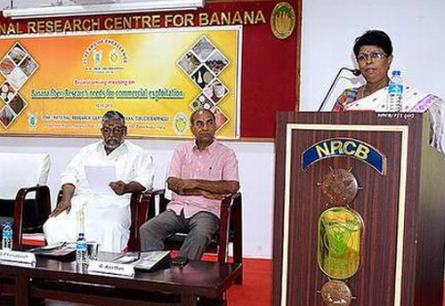 Researchers from 6 states hold brainstorming session on commercial exploitation of banana fibre