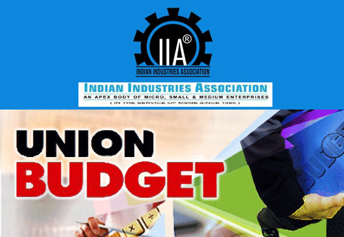 Budget announcements good on the surface: Indian Industries Association 