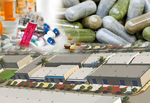 Govt keen to support Industrial parks for API, Pharma & nutraceuticals