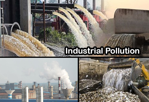 CPCB asks HSPCB to act against industrial pollution