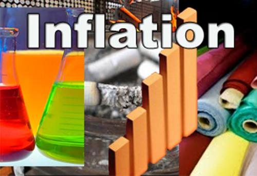 WPI inflation positive at 0.34% after 17 months