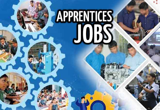 IT hubs in Hyderabad, Delhi, Bengaluru most promising locations for apprentices job in Q4: Report