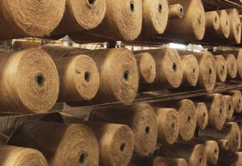 The ‘Jute Mark India’ logo likely to help boost exports