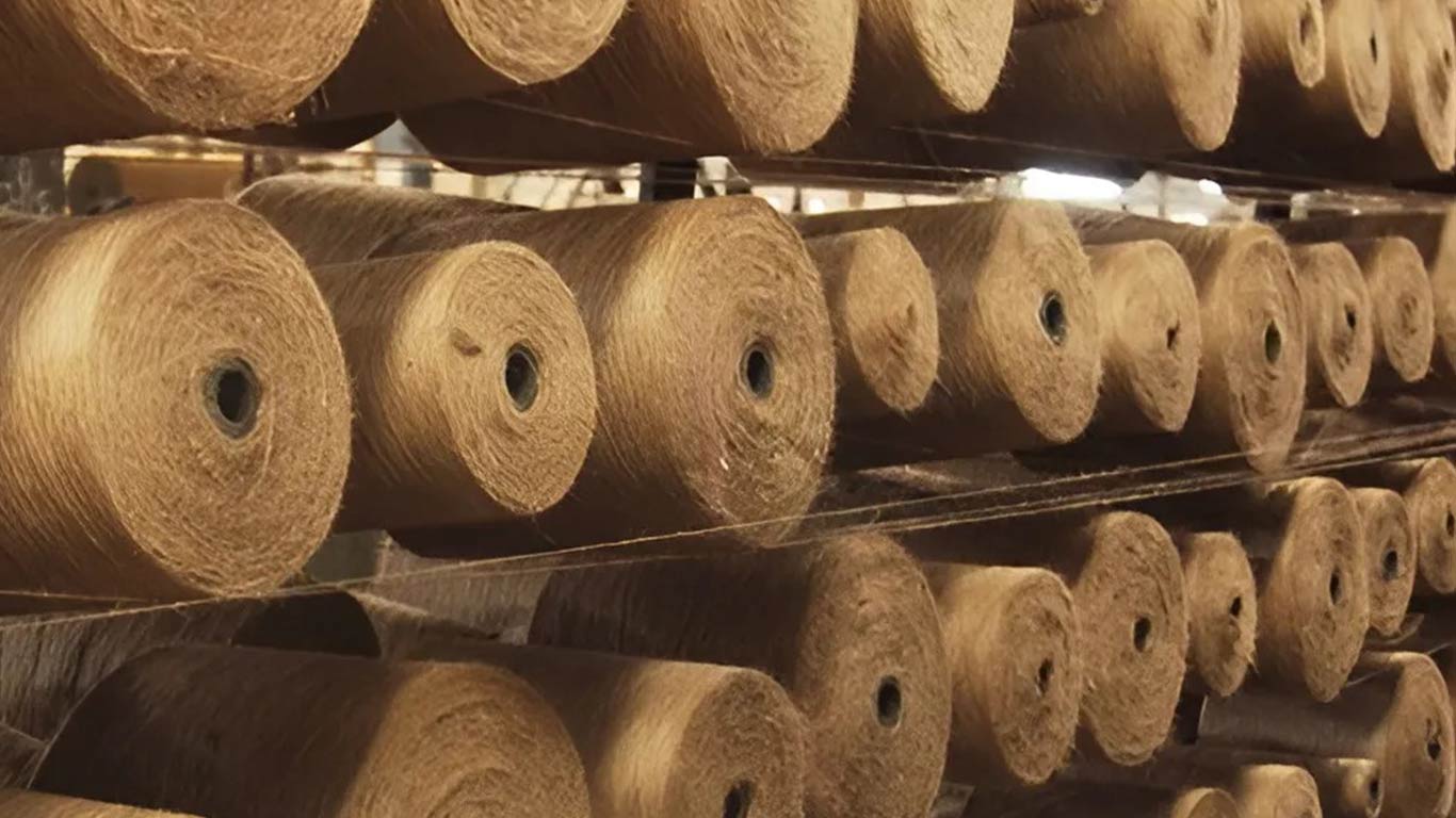 Jute Balers' Association Urges Action On Unregulated Raw Jute Imports From Bangladesh
