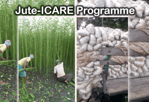 Textile Ministry asks all Chief Ministers to take up Jute-ICARE programme in their states