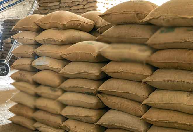 Govt approves extension of mandatory 100% Jute packaging for food grains, 20% for sugar