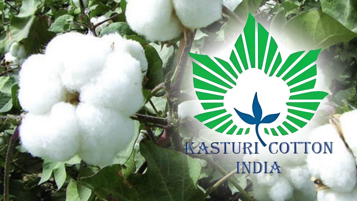 Govt Aims For Global Recognition Of Indian Kasturi Cotton With New Testing Facilities