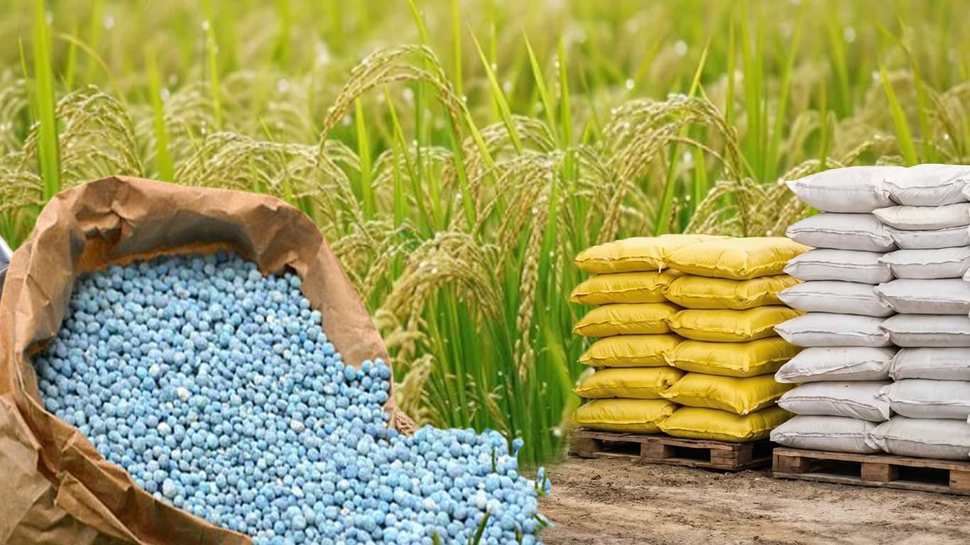 Govt Cuts Kharif 2026 Fertiliser Requirement Estimate To 38.39 MT Amid El Niño Concerns