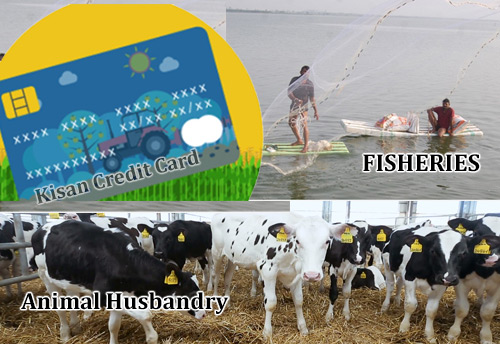 Kisan Credit Card facility for working capital requirement to be extended to farmers in Animal Husbandry and Fisheries