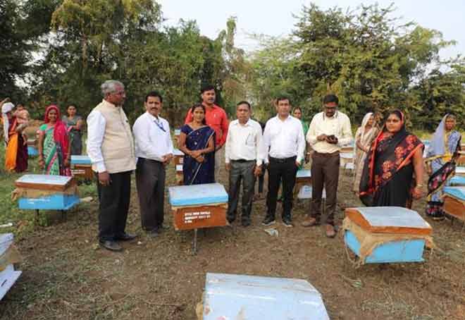 KVIC hands over 600 bee boxes in tribal districts of MP, Chhattisgarh and Maharashtra