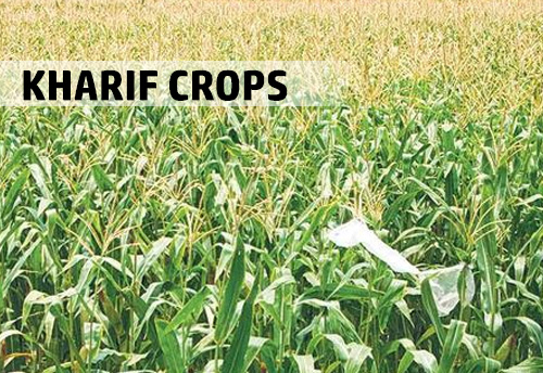 Government approves hike in MSP of Kharif Crops
