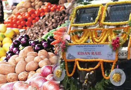 Govt extends 50% rail freight subsidy on notified fruits and vegetables