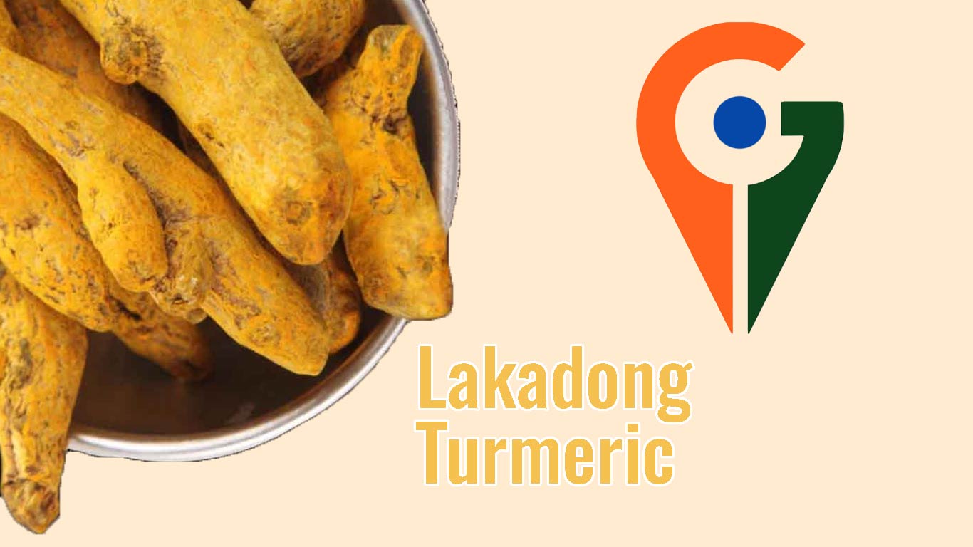 Meghalaya’s Lakadong Turmeric Gets GI Tag