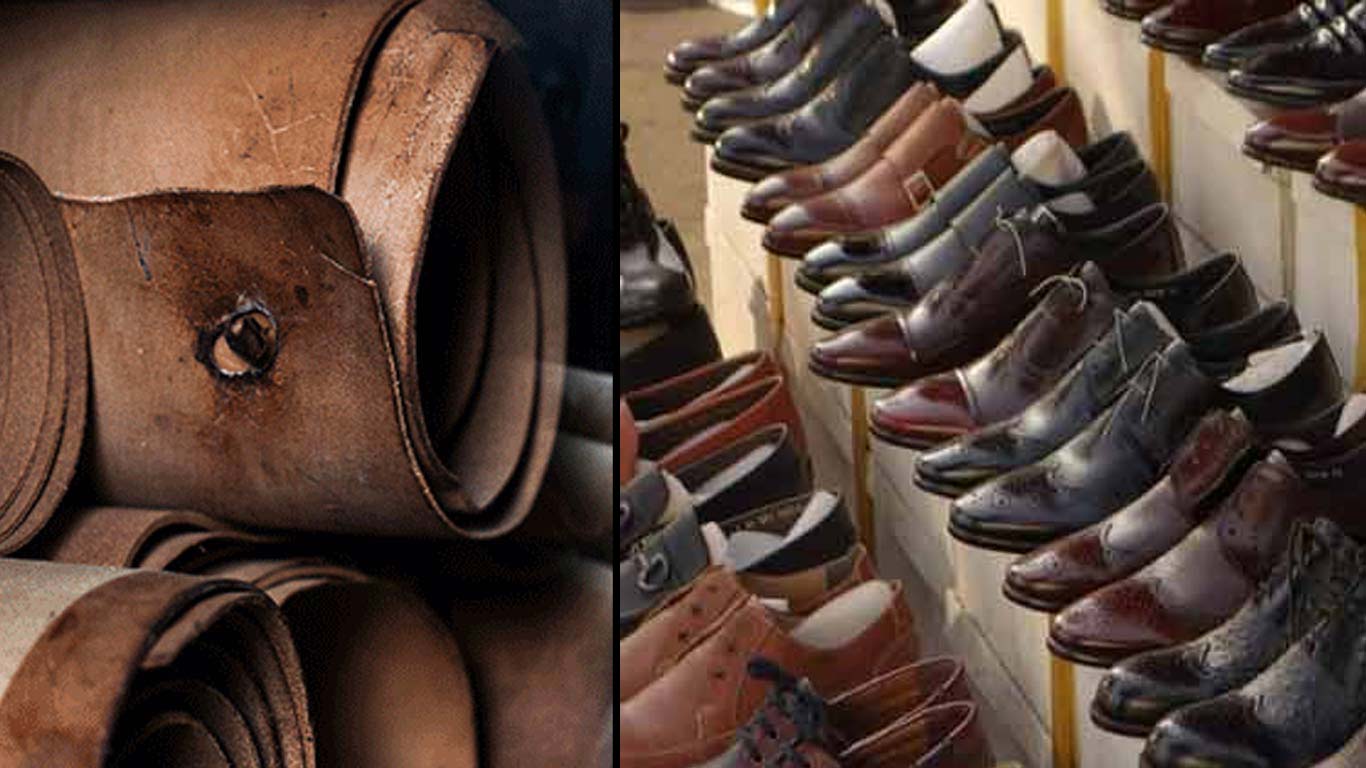 Leather and Footwear Exporters Aim For 12% Growth in FY 2024-25