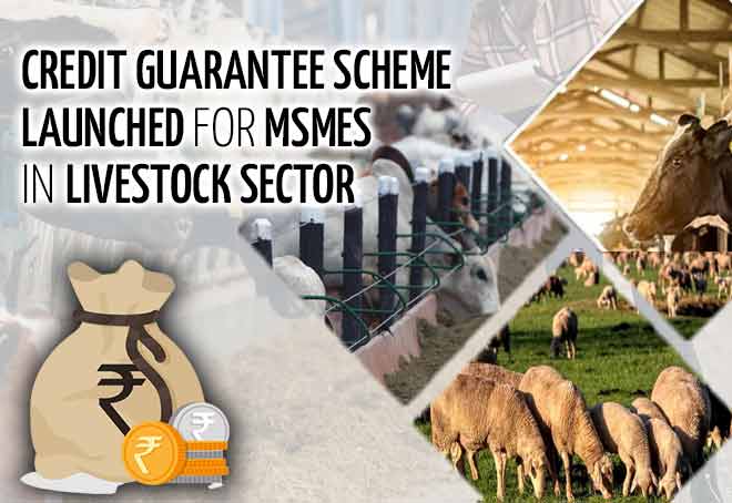 Credit guarantee scheme launched for MSMEs in livestock sector