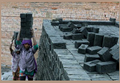 Labour force participation rate higher in rural areas, significantly lower for females: Economic Survey