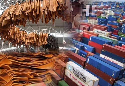 International Testing Laboratory to be set-up in Kanpur to boost Leather exports