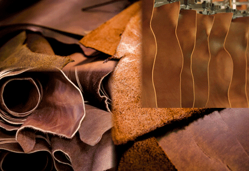 CSIR comes out with Waterless chrome tanning technology for making leather processing environmentally sustainable