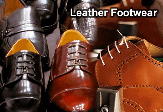 Leather Footwear cluster to be developed in 500 acres in Rohtak