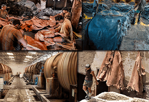 Panic in UP leather MSMEs continues as raw material supply goes dry