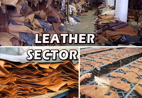 Leather sector has the potential to create 2 million jobs in the next 5 years: MSDE
