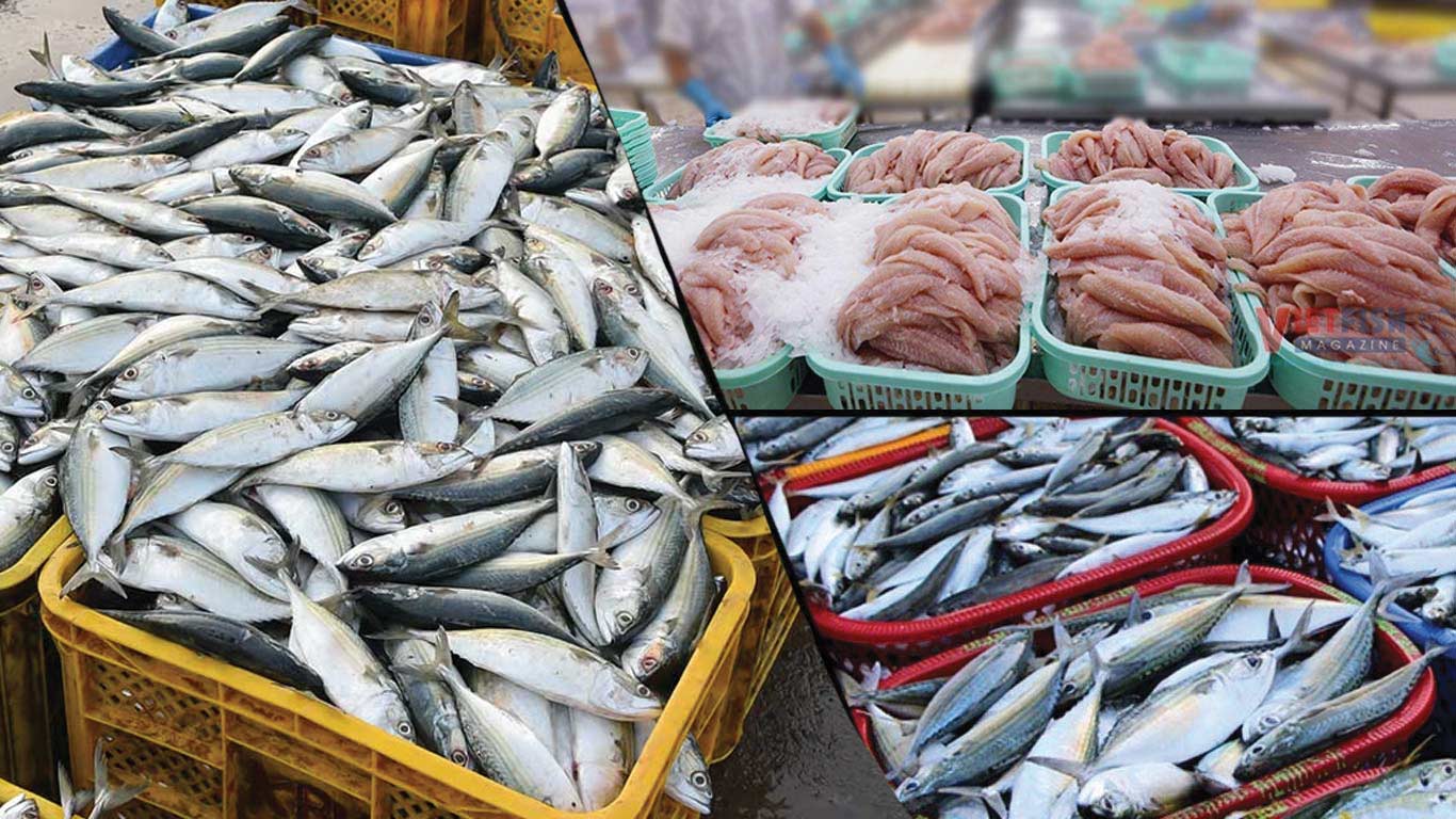 Commerce Ministry Warns of Risks from 50% U.S. Tariff for Marine Exporters