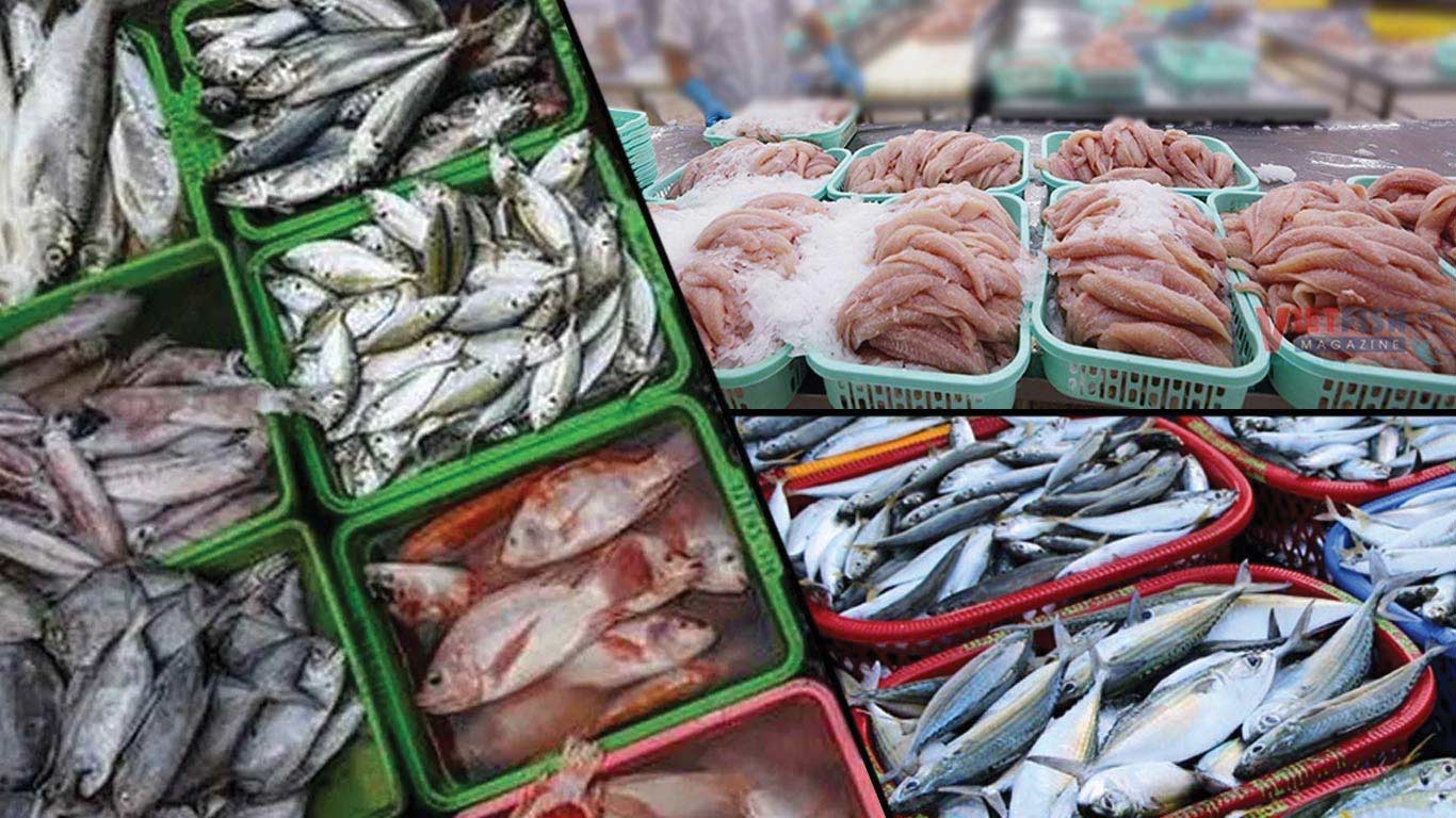 Marine Exports Fall Short of PMMSY Targets Due to Policy and Demand Challenges
