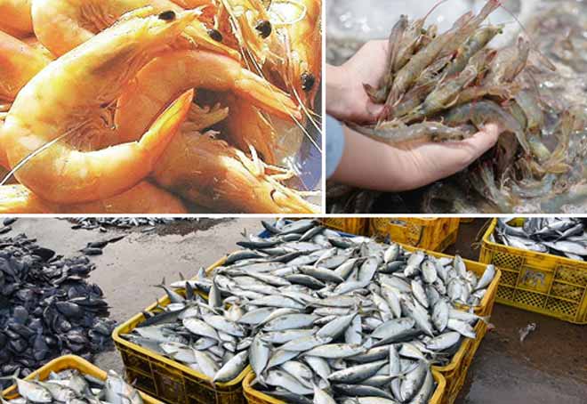 India competes China as second largest exporter of marine products