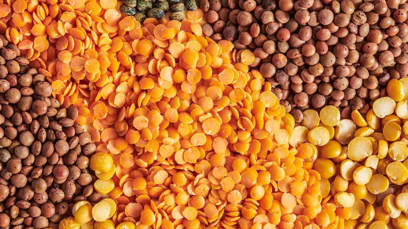 India Extends Zero Import Duty On Masur Till March 2025
