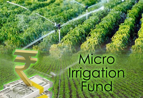 Budget 2021-22: Irrigation Association of India welcomes govt’s decision to add Rs 5,000 cr to MIF