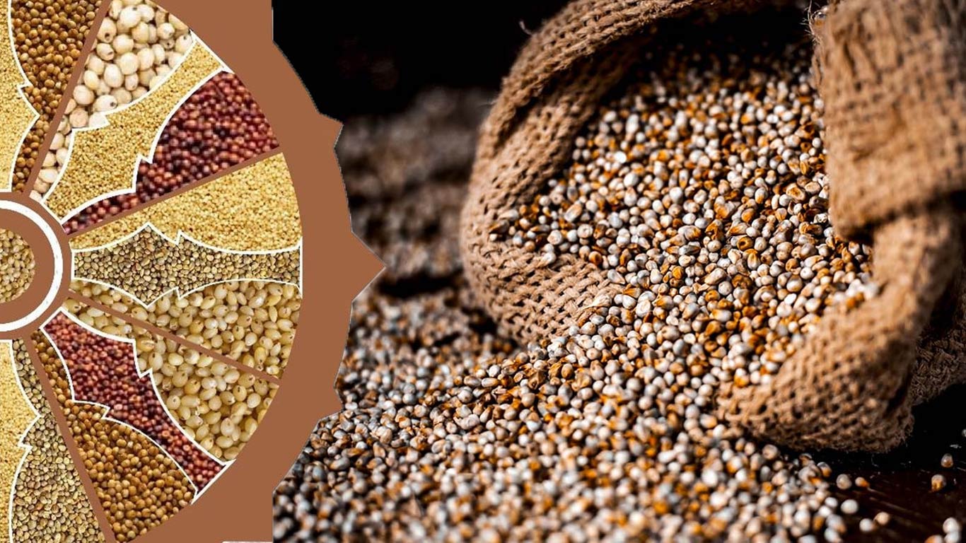 Private Trade Push Millet Prices Above MSP In Karnataka, Rajasthan, Maharashtra, And Uttar Pradesh