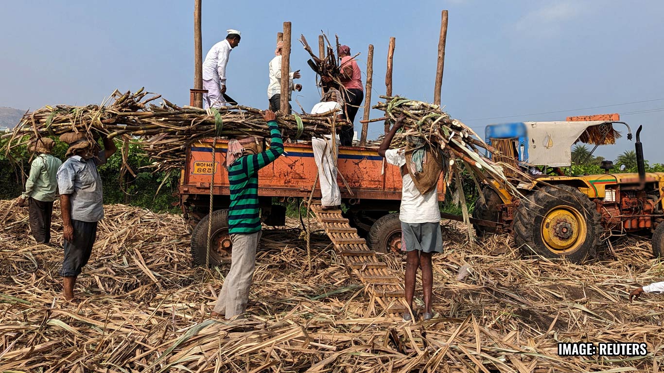 India Imposes 50% Duty On Molasses Exports To Secure Domestic Needs