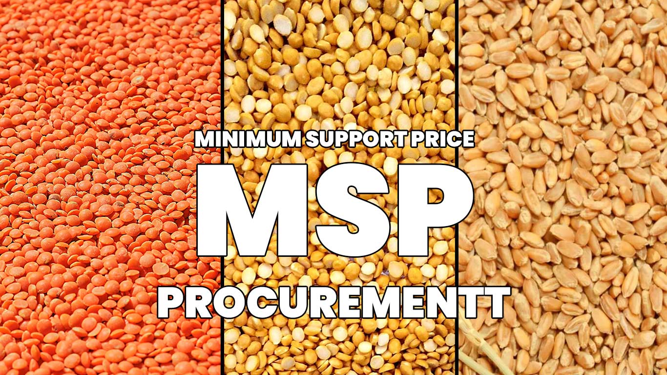 Centre Extends MSP Procurement Deadline For Wheat, Gram And Masoor In UP To July 8