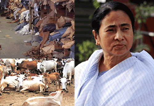 Centre’s cattle-trade policy is like death certificate for leather industry: Bengal Leather Associations